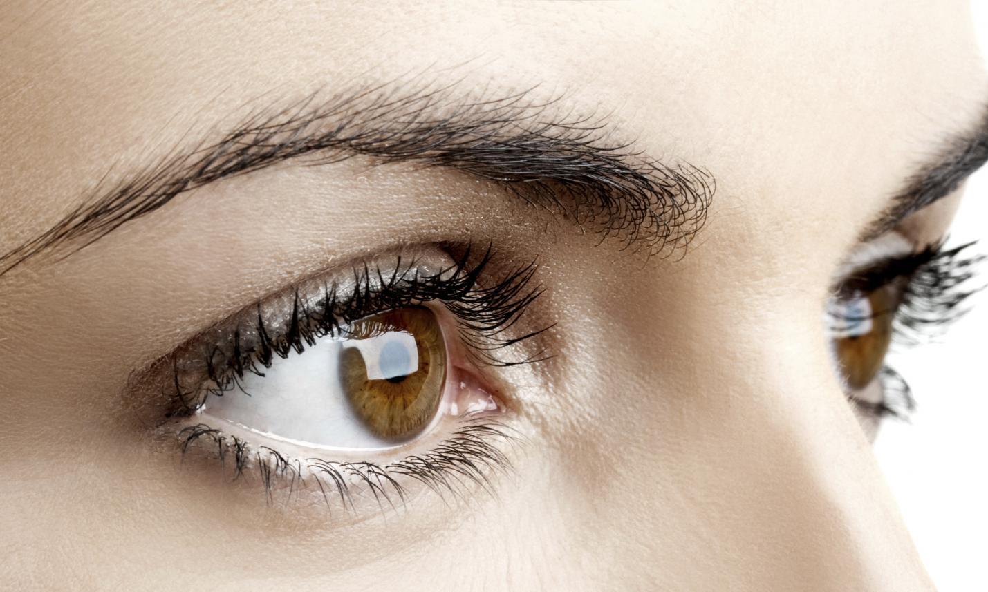 Brown Eyes Photo